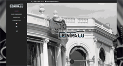 Desktop Screenshot of ceintralu-06.com